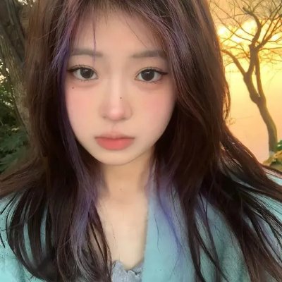 翱翔于天际的夜鹰
