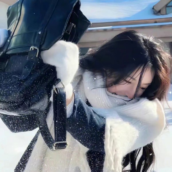 安全领域